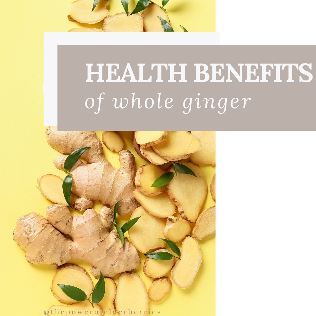 Discover How Whole Ginger Root Supports Digestive Health and Wellness