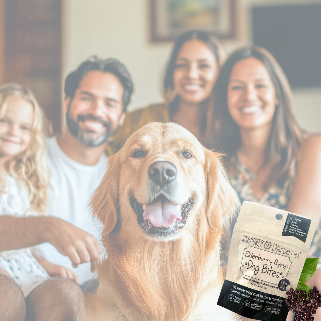 Elderberry Syrup Dog Bites™ 8ct Pup Pouch