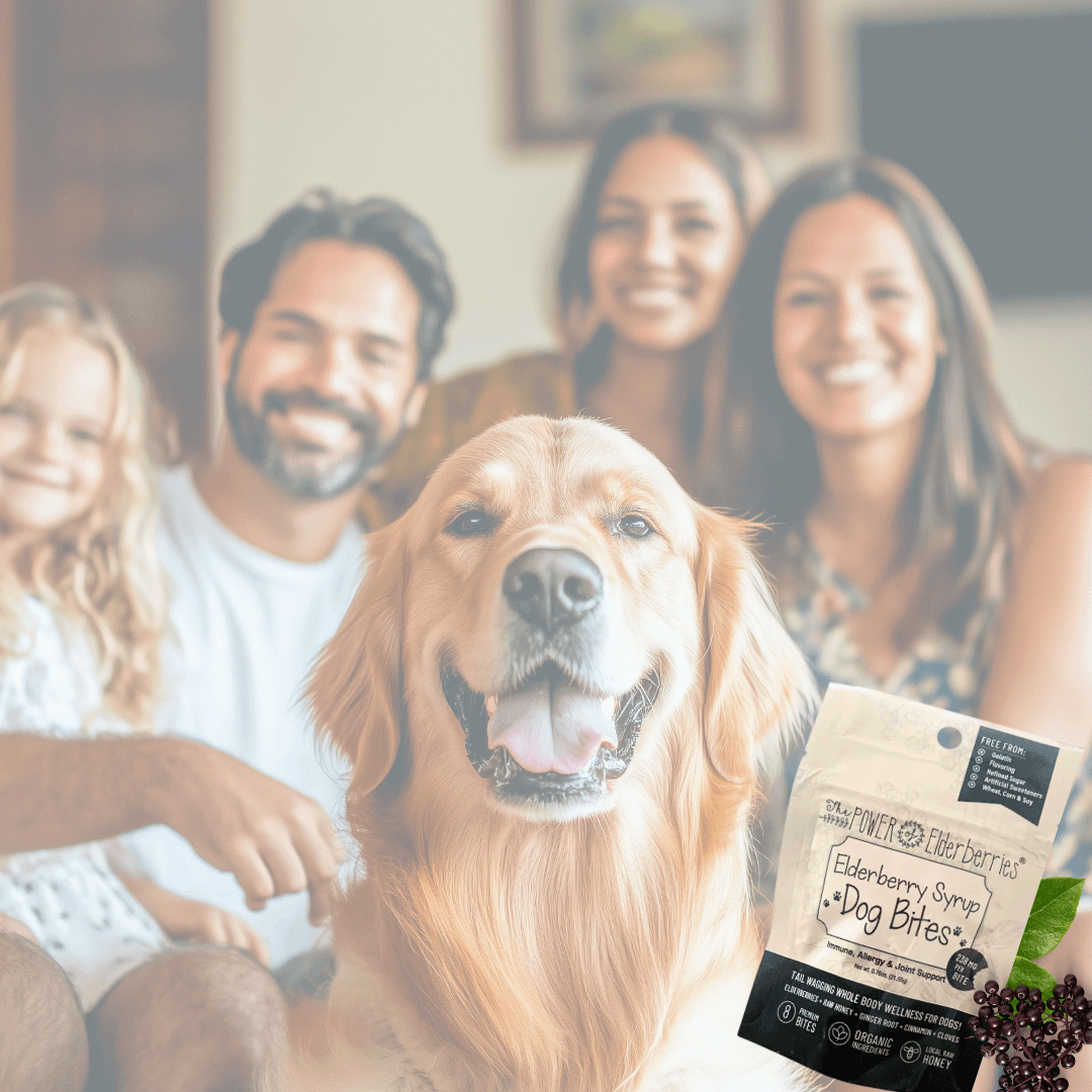 Family with dog and Dog Bites supplement.