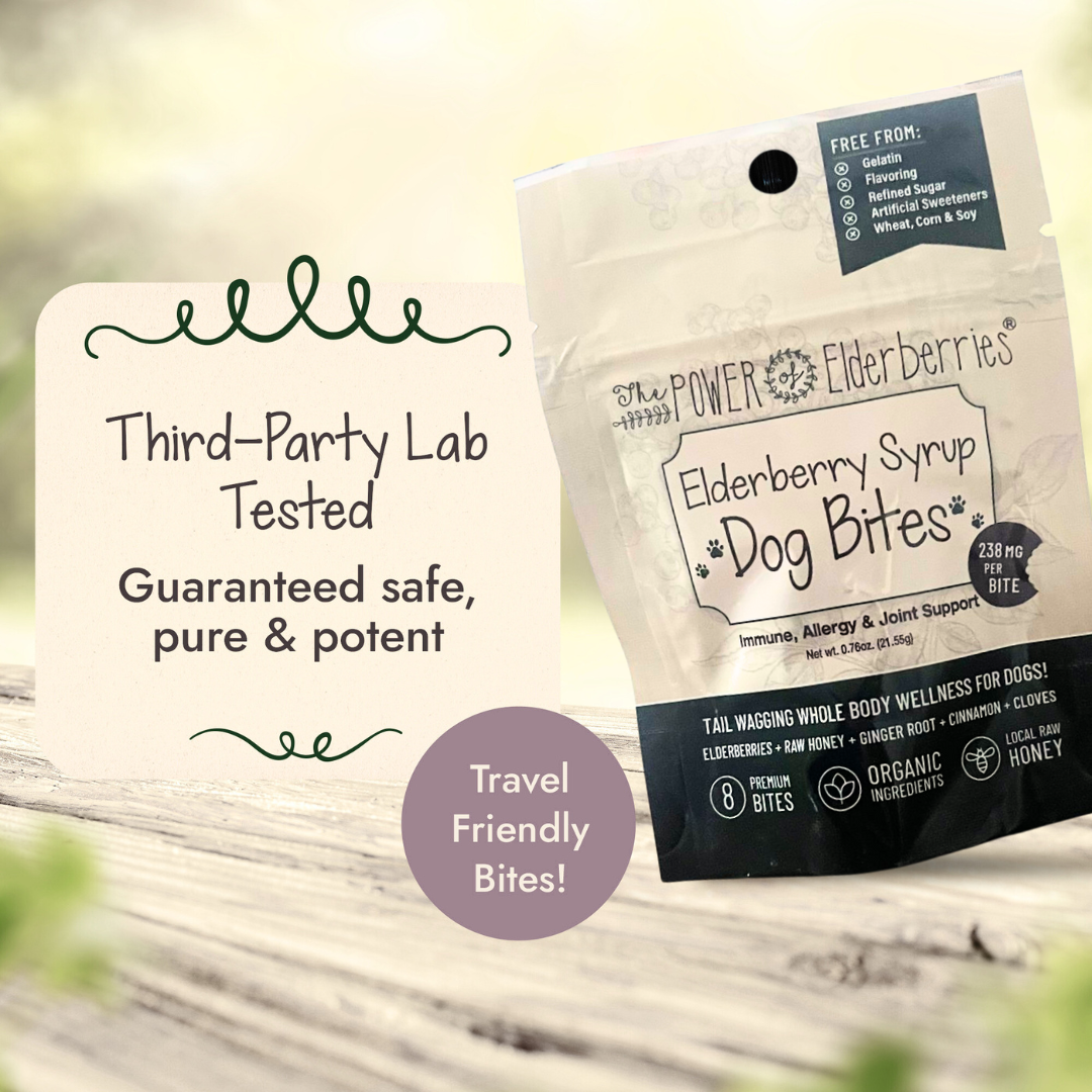 Elderberry Syrup Dog Bites™ 8ct Pup Pouch
