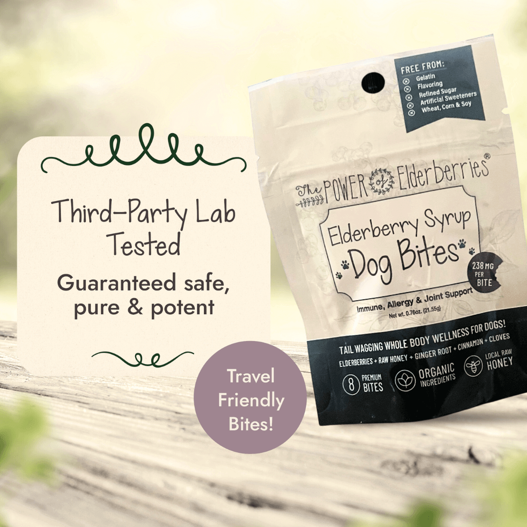 PupPouch Dog Bites Elderberry Syrup - 8ct, safe & potent
