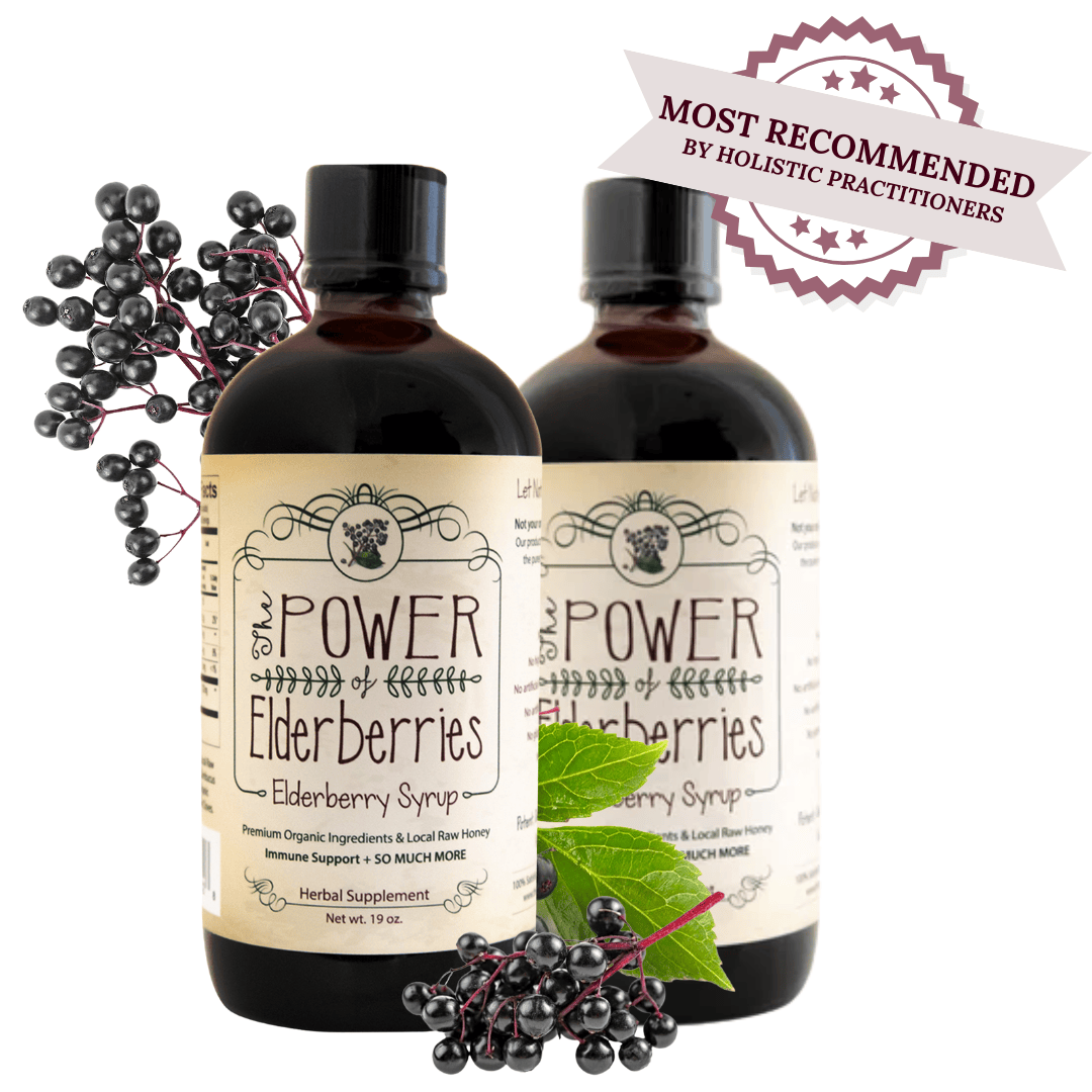 The POWER of Elderberries Standard Bundle Most Recommended by Holistic Practitioners 2 bottles of 19oz.