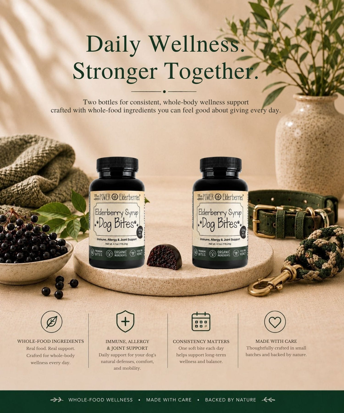 Two bottles of Elderberry Syrup Dog Bites displayed on stone with natural ingredients, a green collar, and a rope leash, under the headline 'Daily Wellness. Stronger Together.