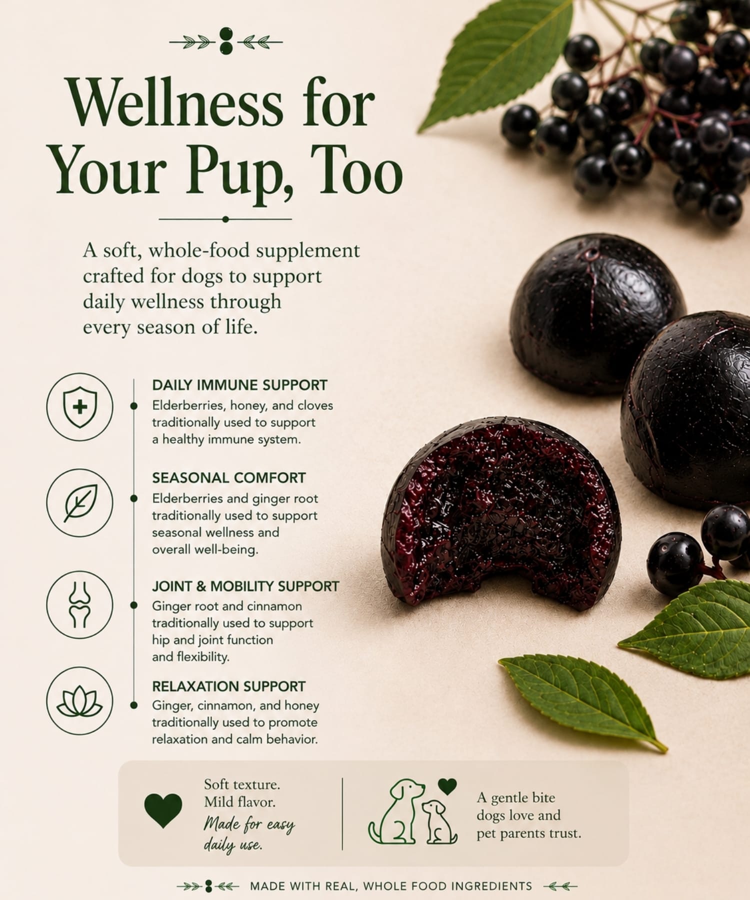 Dog supplement product with ingredients and wellness benefits on a light background.