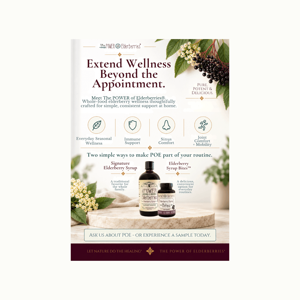 A promotional flyer for The POWER of Elderberries, advertising 'POE' wellness syrup. The flyer features a white background with botanical illustrations of elderberries, text detailing benefits, and photos of two dark amber bottles of elderberry syrup and elderberry syrup bites on a marble platform.