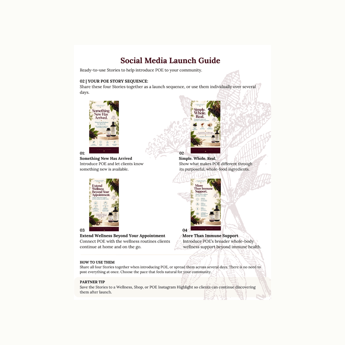 A printed or digital guide titled 'Social Media Launch Guide' with several small illustrated panels showing story posts and title text, presented on a white page against a light beige background.
