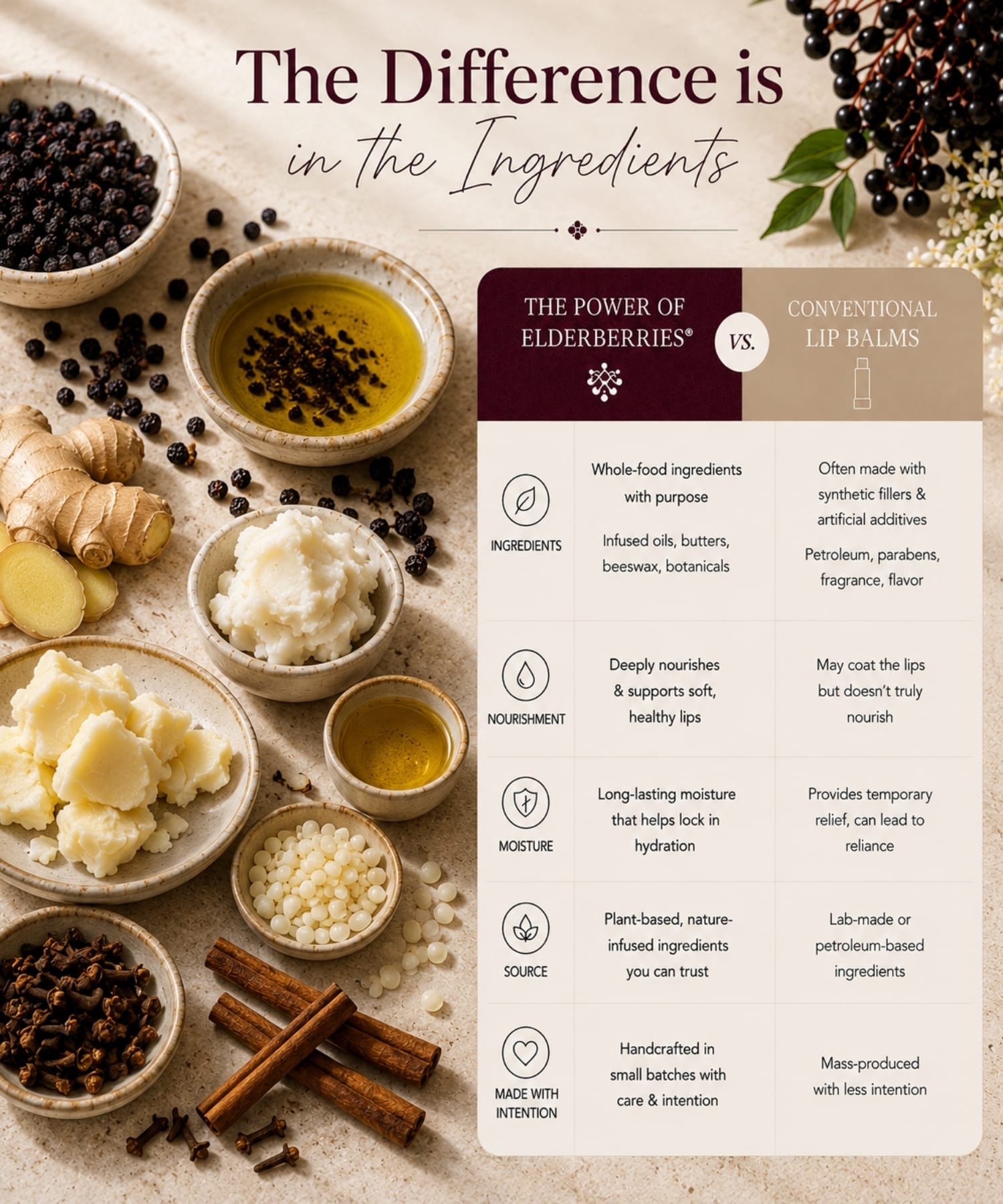 Comparison between The POWER of Elderberries® Elderberry Lip Butter and conventional lip balms using whole-food botanical ingredients.