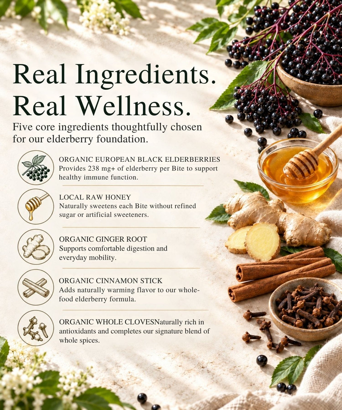 A whole-good wellness ingredient graphic for elderberry syrup dog bites. Large text reads 'Real Ingredients. Real Wellness.'
