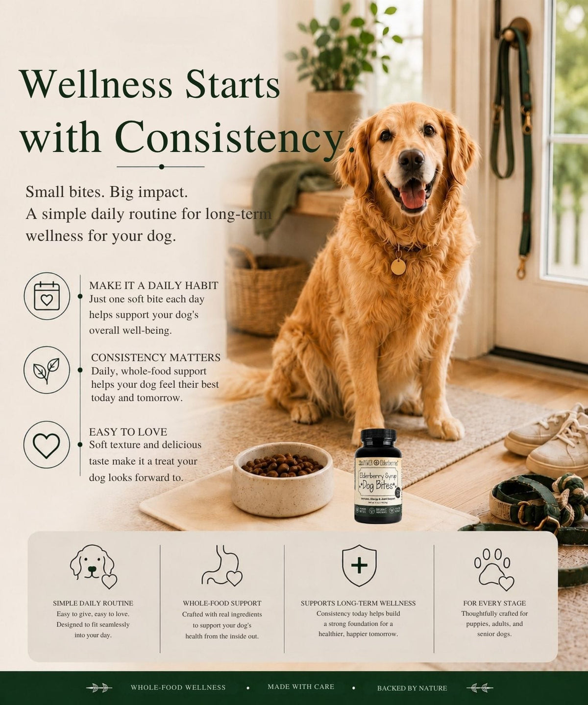 A golden retriever sits in a cozy indoor setting beside a bowl of dog food and a supplement bottle labeled 'The POWER of Elderberries' Elderberry Syrup Dog Bites on a rug. Large text reads 'Wellness Starts with Consistency' with icons and benefit callouts about daily habit, consistency, and soft texture.