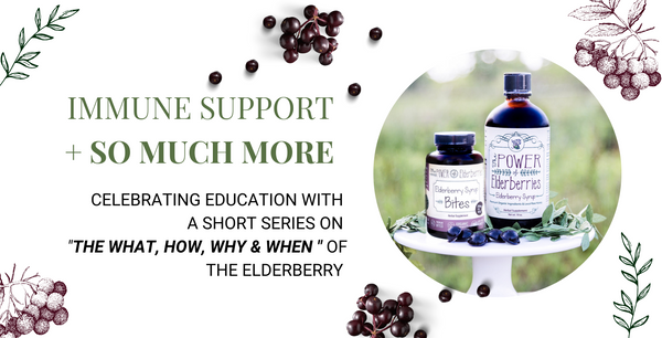 The Organic European Black Elderberry Immune Support + So Much More