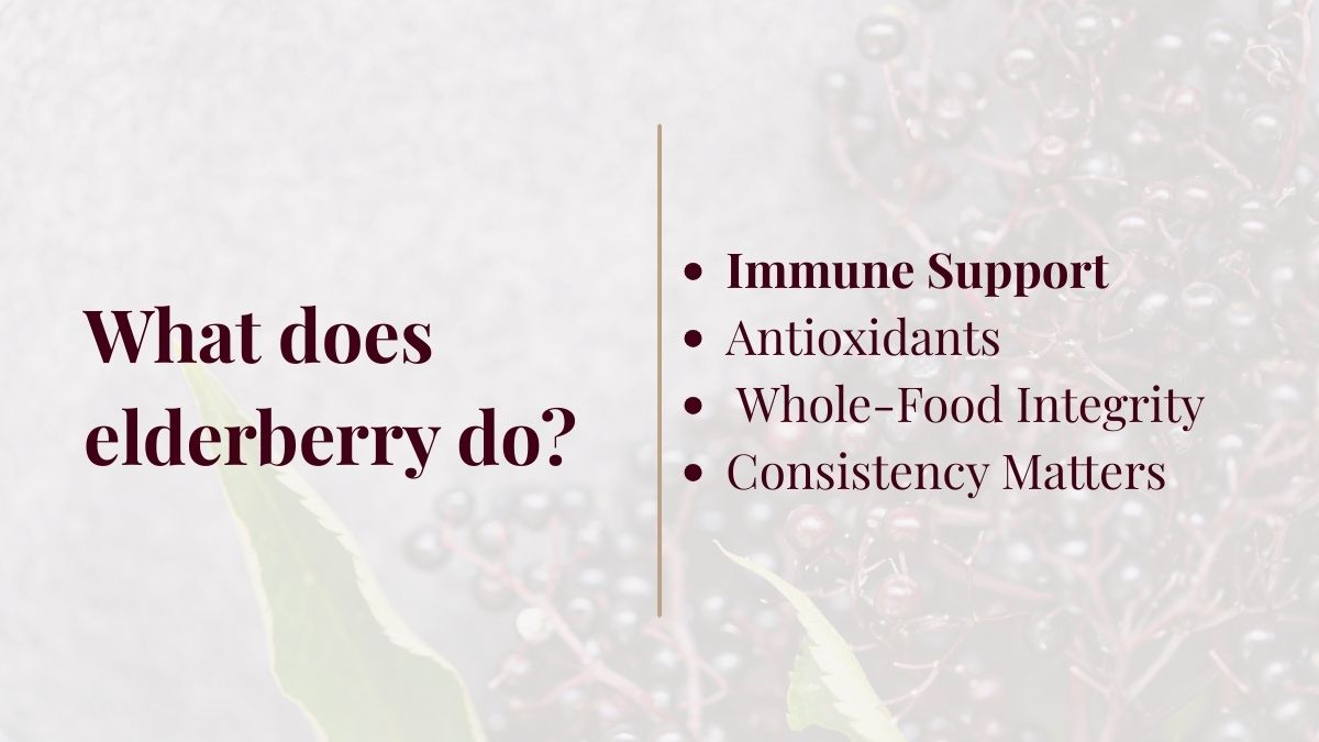 Graphic reading “What does elderberry do?” with immune support, antioxidants, and whole-food ingredients listed.