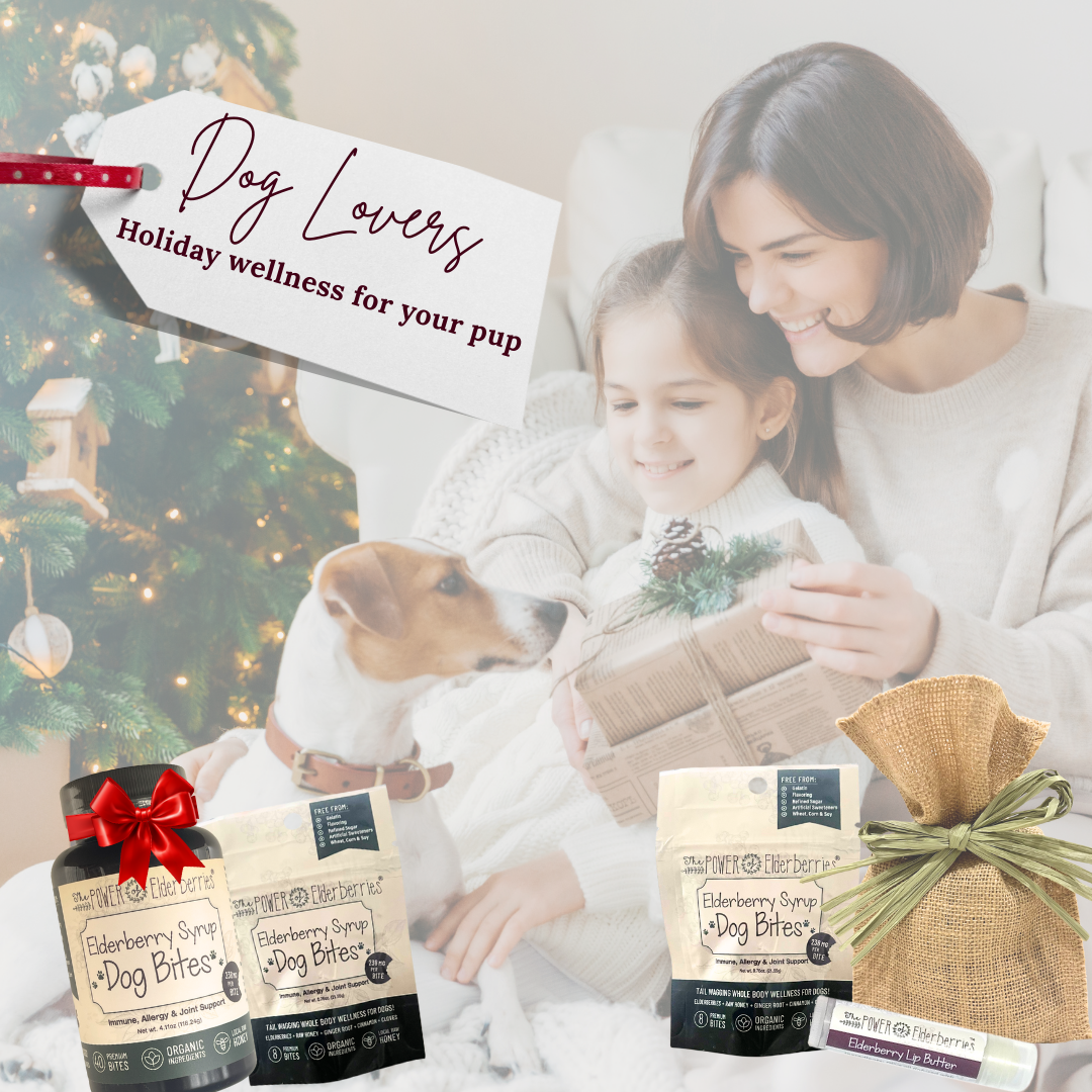 Gifts for Dog Lovers