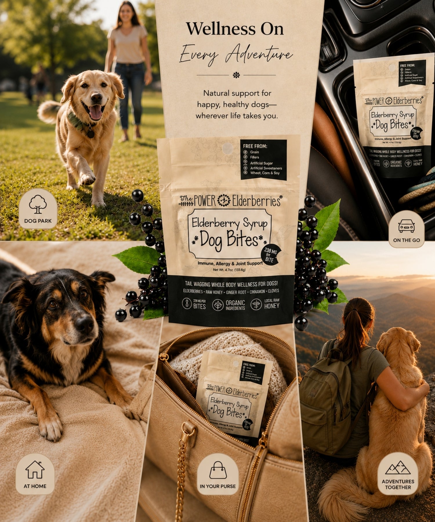 Elderberry Syrup Dog bites pup pouch being taken with pet owner to the dog park, at home, purse and more to support every day wellness for dogs.