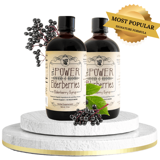 Standard Bundle: Signature Elderberry Syrup 19oz x 2