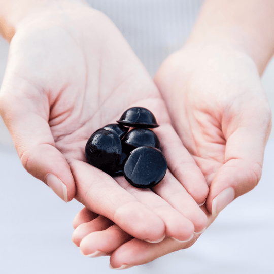 On The Go Plus! Bundle: Signature Elderberry Syrup Bites™ 40ct. x 4