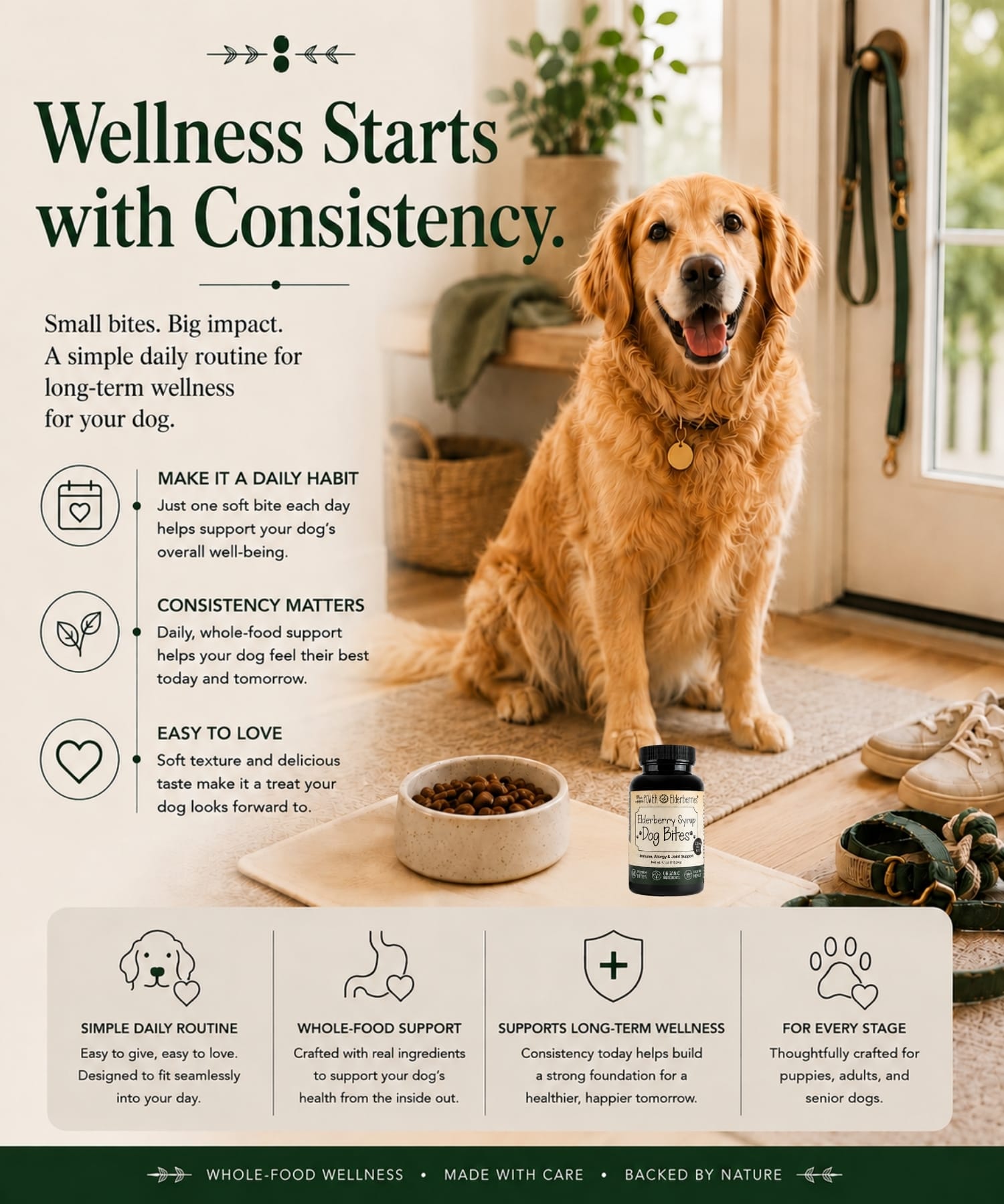 Dog sitting on a carpet with a bowl of food and a Elderberry Syrup Dog Bites supplement bottle, surrounded by pet accessories.