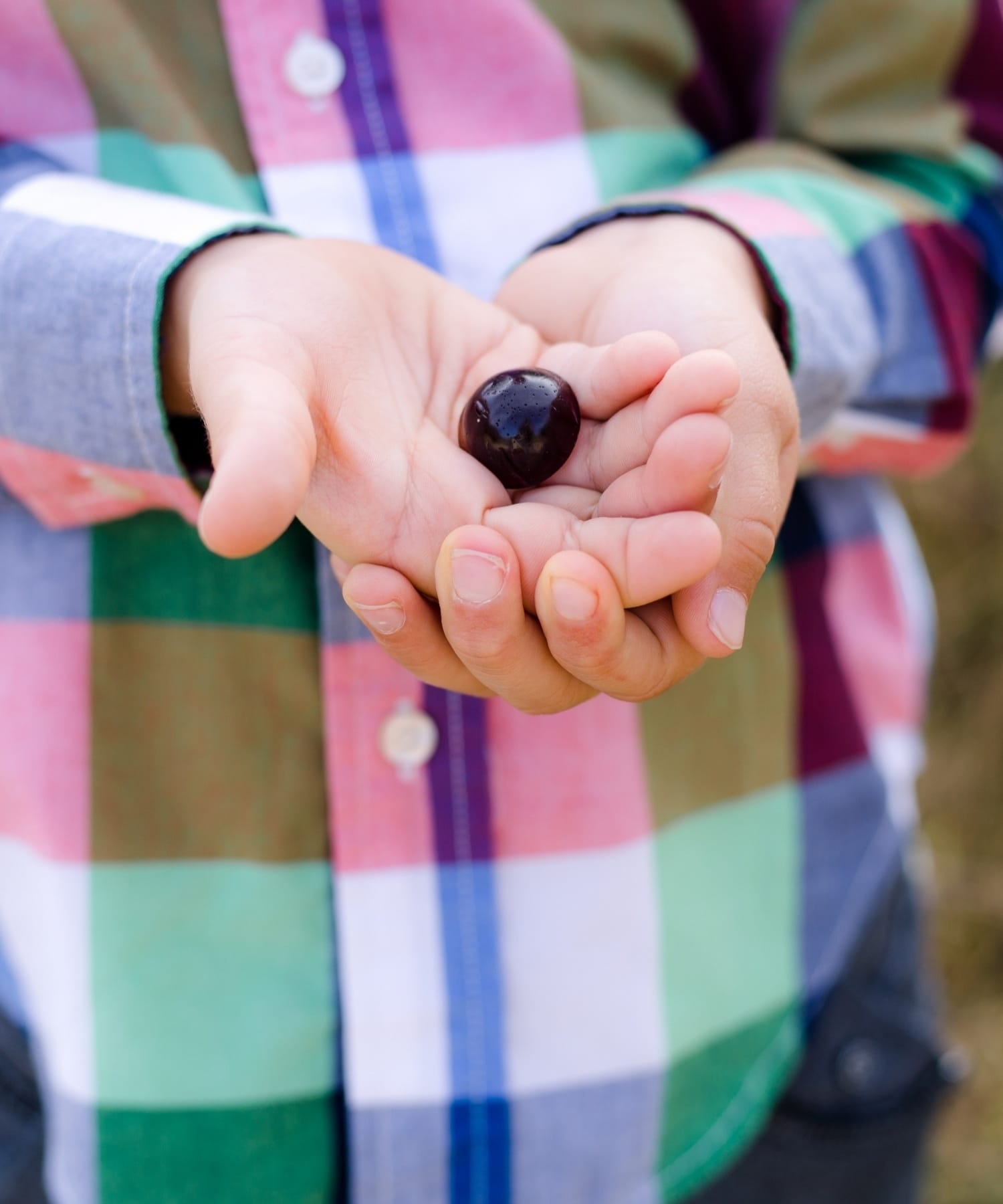 Little boy holding elderberry syrup bite in palm of hands.