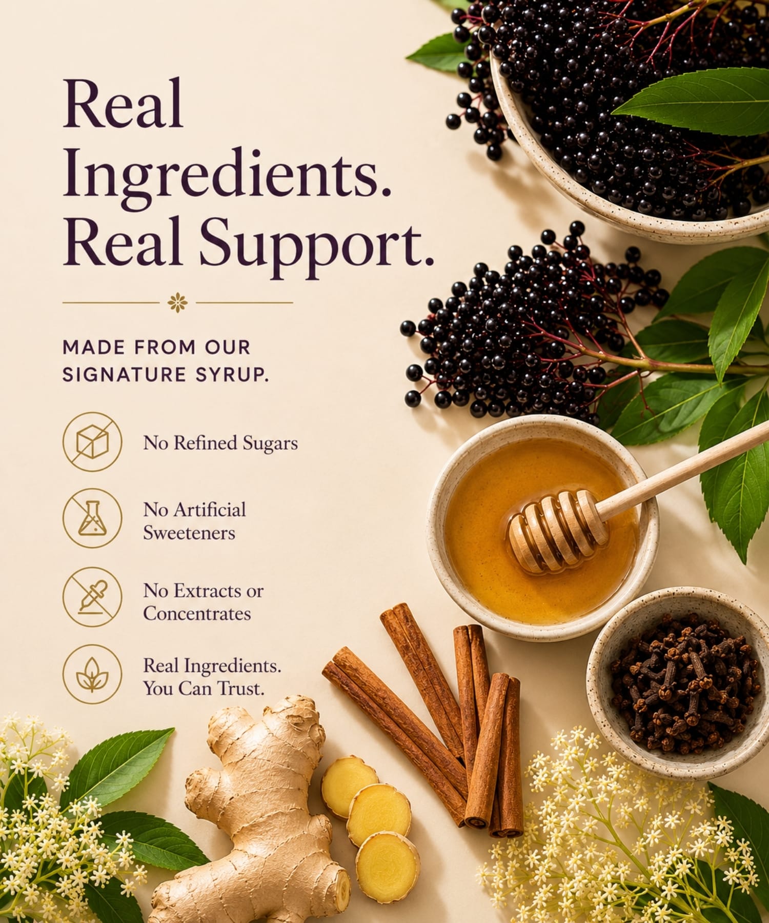 Organic elderberries, raw honey, ginger root, cinnamon sticks, and cloves styled beside clean ingredient messaging for The POWER of Elderberries® Elderberry Syrup Bites.