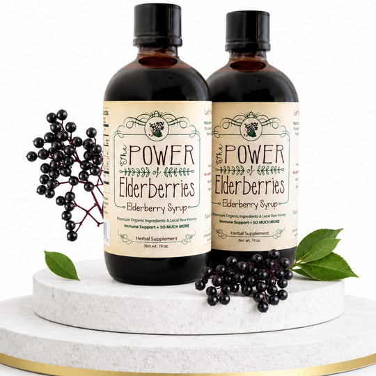 Daily Foundation Bundle