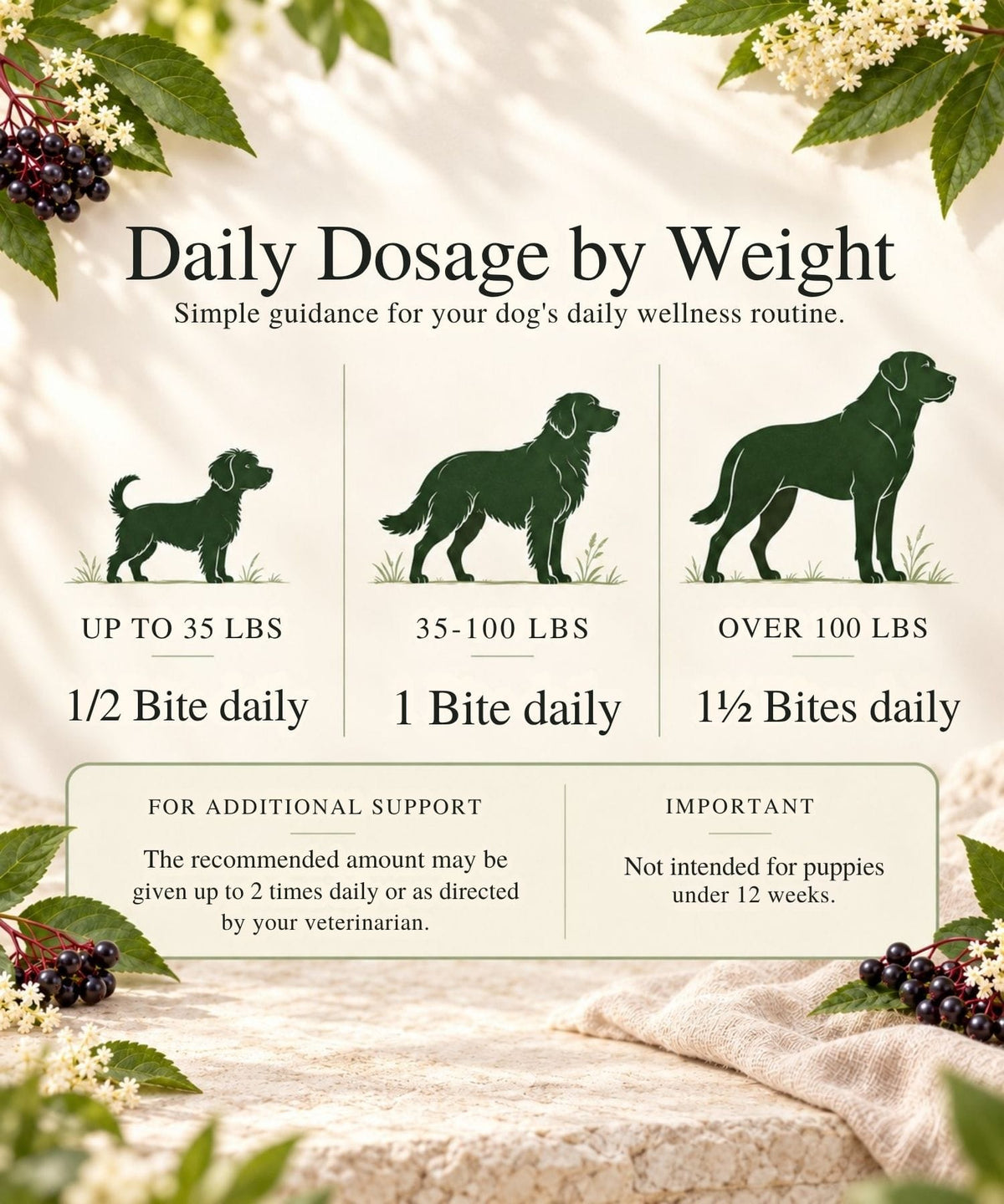 An informational graphic titled 'Daily Dosage by Weight' with silhouettes of dog breeds and text showing dosage recommendations by weight: up to 35 lbs, 35-100 lbs, and over 100 lbs. The design has a warm cream background with green leaves, white flowers, and dark elderberries in the corners.