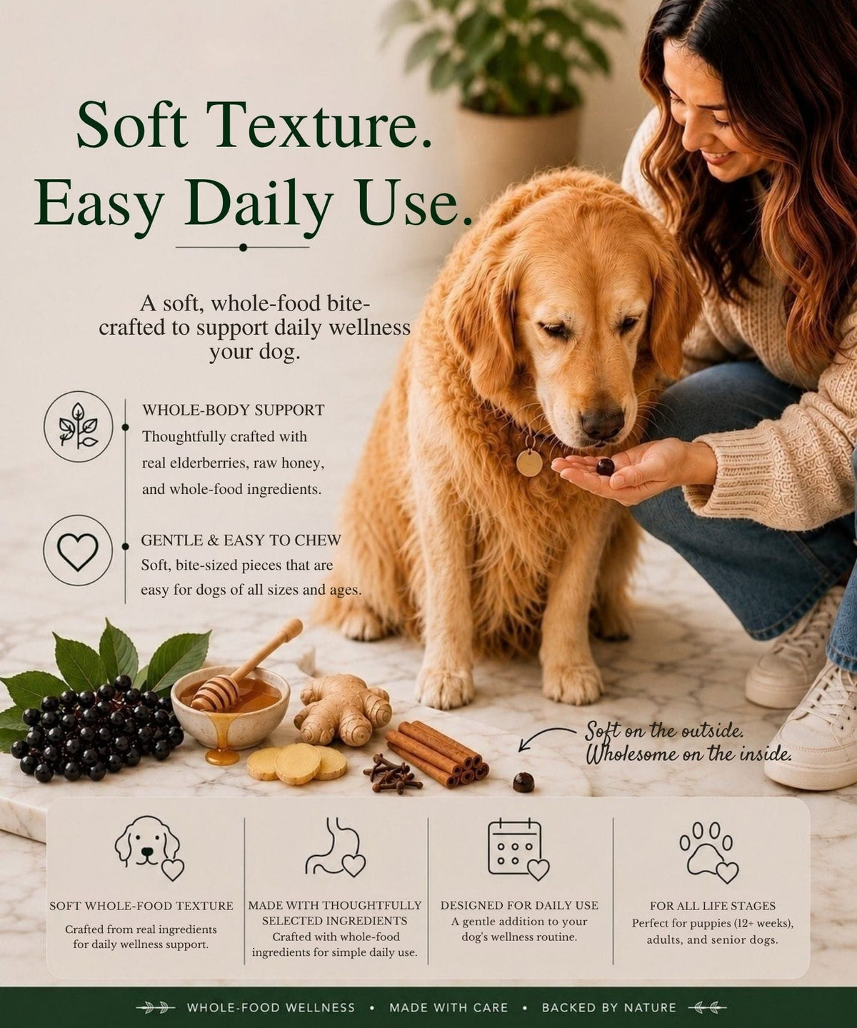 A golden retriever dog sitting on a beige floor while a woman kneels beside it, offering an Elderberry Syrup Dog Bite from her hand. 