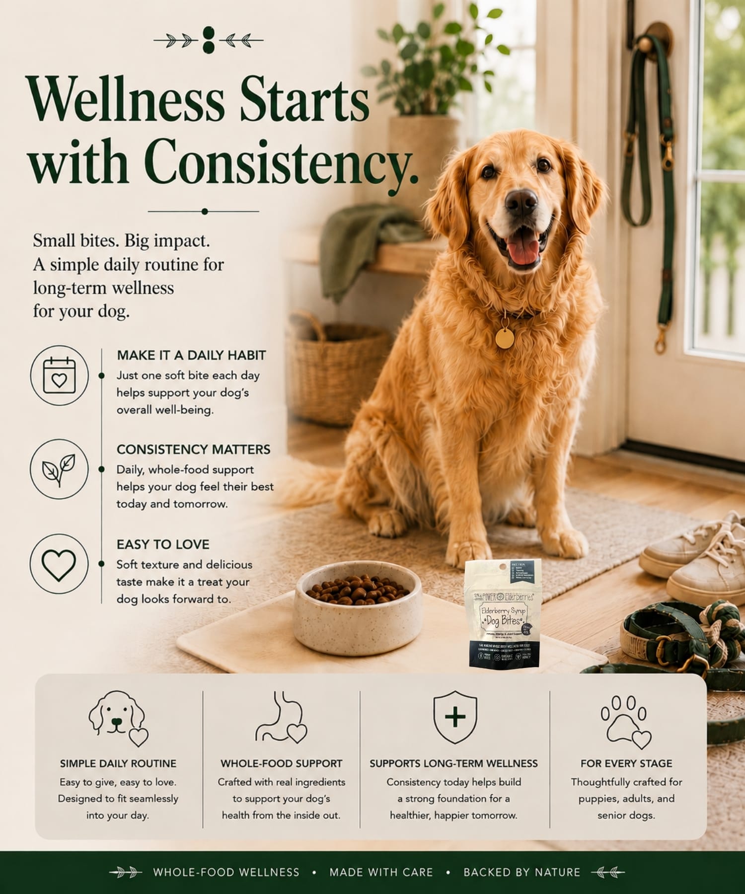 Dog wellness consistency graphic featuring Elderberry Syrup Dog Bites™ for daily routines.